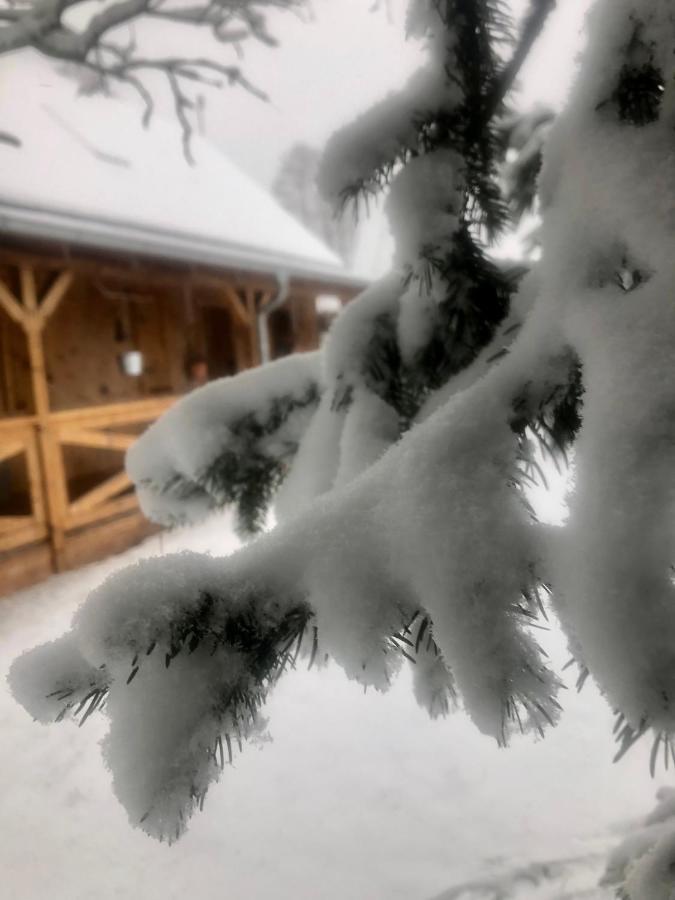 Lesne Ranczo Agroturystyka Miedzychod Exterior foto